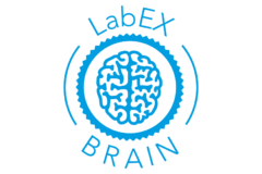 logo LabEx BRAIN