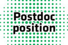 Post-doctoral positions – Molecular and physiological aspects of synaptic plasticity