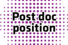 Post-Doctoral position – A thalamocortical circuit for deciding in uncertain environments