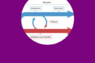 Michel Engeln and Serge Ahmed in Nat. Rev. Neurosci.